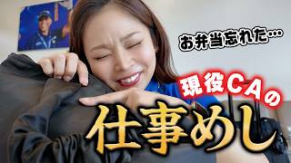 【出勤から退勤まで】アメリカで働く34歳CAの2日間✈️|国内線1日7時間フライト|カリフォルニア|ロサンゼルス|空港飯|お弁当