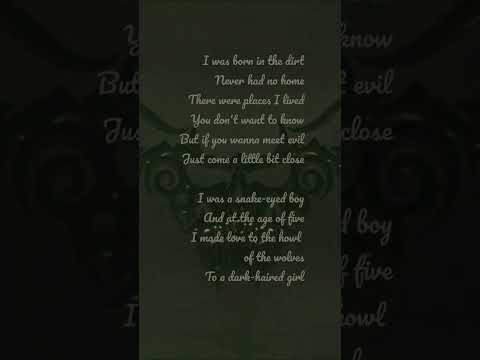 Danzig - I'm the One (acoustic cover)