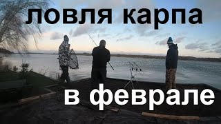 Ловля карпа по открытой воде в феврале