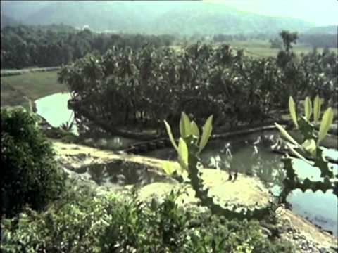 Bhoomi Thayi - Garudarekhe - Kannada Hit Song