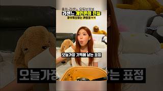 개인폰 그게 뭔데요?