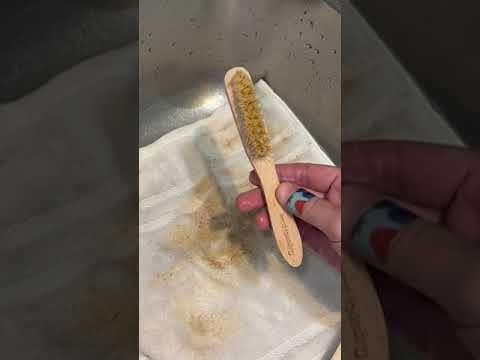 How to remove BBQ stains on clothes #shorts #laundry #tips #stainremoval #detergent #cleaning