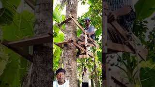 Download lagu Ide kreatif alat pemanjat pohon kelapa #kelapa #funny #kelapaunik #keterampilan #nature  #kreatif mp3