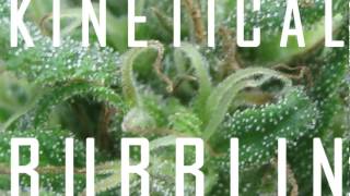 KINETICAL - BUBBLIN (KINETIKUSH EP PREVIEW) (OCT 2012)