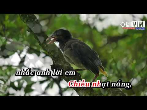 Thể hiện bởi Tâm Đoan