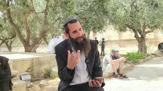 אור המקדש מאיר לכל העולם • מדרשי חז"ל מזמור צ"ז | הרב אלישע וולפסון (ישיבת הר הבית) - התמונה מוצגת ישירות מתוך אתר האינטרנט יוטיוב. זכויות היוצרים בתמונה שייכות ליוצרה. קישור קרדיט למקור התוכן נמצא בתוך דף הסרטון אור המקדש מאיר לכל העולם • מדרשי חז"ל מזמור צ"ז | הרב אלישע וולפסון (ישיבת הר הבית) - התמונה מוצגת ישירות מתוך אתר האינטרנט יוטיוב. זכויות היוצרים בתמונה שייכות ליוצרה. קישור קרדיט למקור התוכן נמצא בתוך דף הסרטון