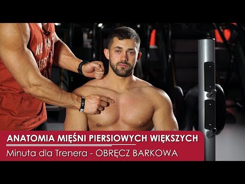 W ciąży 23 tygodni, bóle mięśni brzucha Ćwiczenia z hantlami na deltoids i triceps