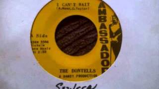 I Can't Wait ~ The Dontells.wmv