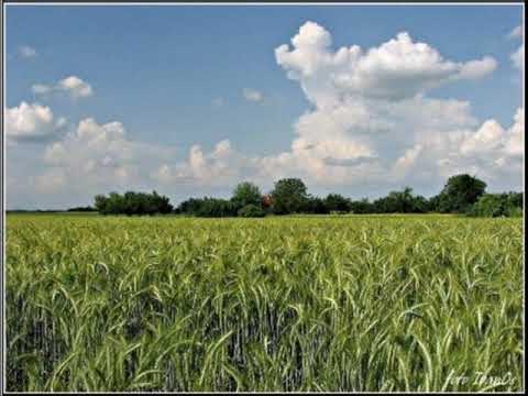 tamburaši za dušu najljepša si slavonijo moja