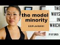 The Ways In Which The MODEL MINORITY Explained