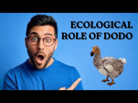 The Dodo  A Tale of Extinction
