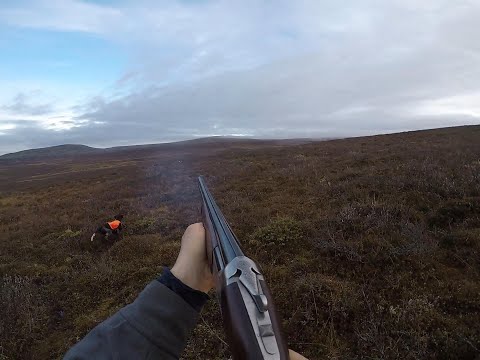 Riekkojahti Ropi 2023 A