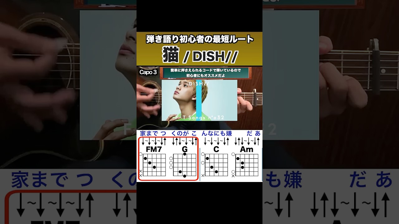 猫/DISH// はこの弾き方を覚えればOK!  #ギター弾き語り #ギター #猫 #dish