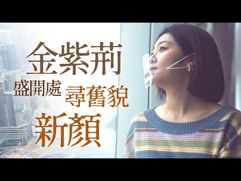 品地道粵味，遊日月星街，金紫荊盛開處尋舊貌新顏｜灣仔區