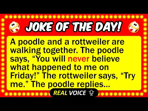 🤣 BEST JOKE OF THE DAY! - Two dogs are walking together, when the poodle suddenly...  | Funny Jokes