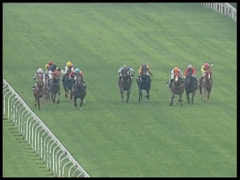 2017-03-25 Macau Meeting Race 5(0205) - THE AHMADABAD