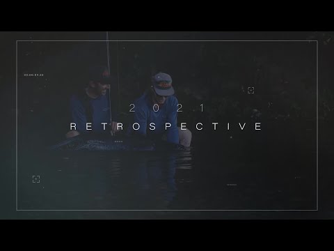 Retrospective 2021