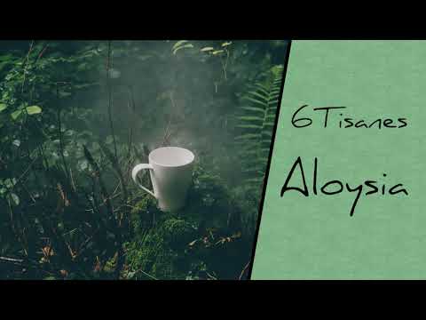 6Tisanes - Aloysia (Original Mix)