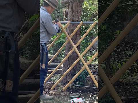 キョウチクトウのさやの使い方は？庭師のためのヒント  庭園