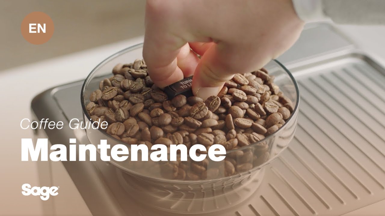 Så här rengör du kvarnens koniska kvarnar