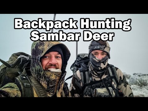 From SUN to SNOW - Qld Hunters head south to hunt Sambar Deer