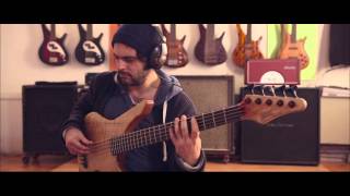 Daniele Camarda - Manne Woody bass project - the story
