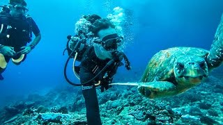 UNDERWATER TURTLE SELFIE!