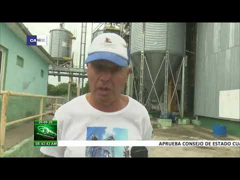 Implementan estrategias económicas en Empresa Agroindustrial de Granos Valle de Caonao