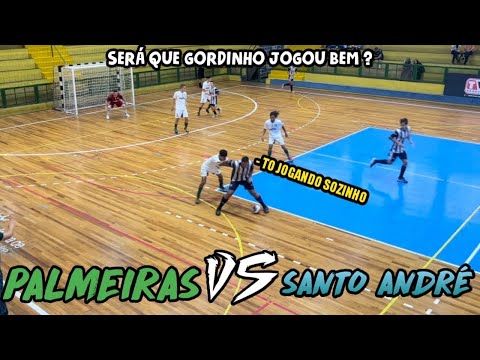 PALMEIRAS vs SANTO ANDRÉ FUTSAL - SERÁ QUE O GORDINHO JOGOU BEM ?