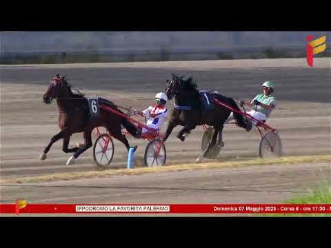 VI Corsa del 7 Maggio 2023 - 3 Anni - Metri 2000