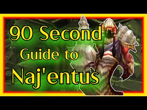 A 90 Second guide to killing Naj'entus inside the Black Temple