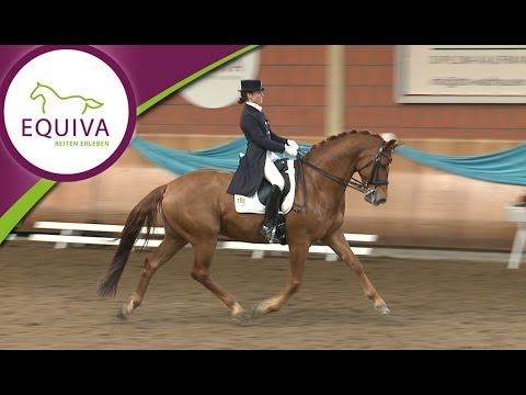 Die EQUIVA Dressur-Gala 2014 - alle Highlights