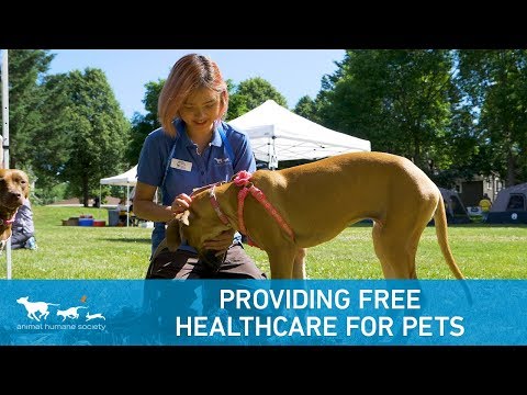 Animal Humane Society Provides Free Healthcare for Pets