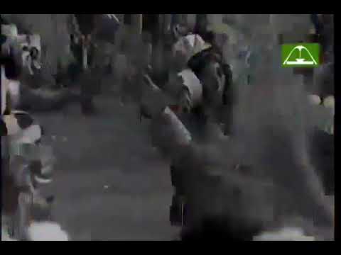 Imperatriz Leopoldinense 1983 #carnaval