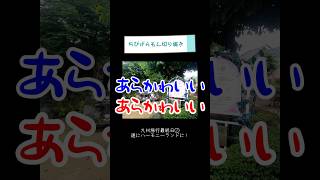 遂に最終日！ハーモニーランドに行ってきました🎀【ちびげらもん切り抜き】#shorts #ちびげらもん #旅行vlog #サンリオ # ハーモニーランド #kawaii #大分 #切り抜き