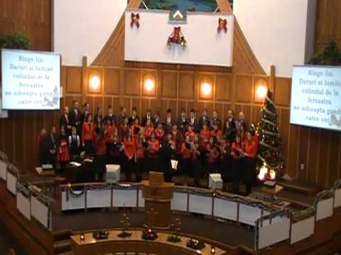 Ninge lin-Corul Bisericii Sf.Treime-Braila