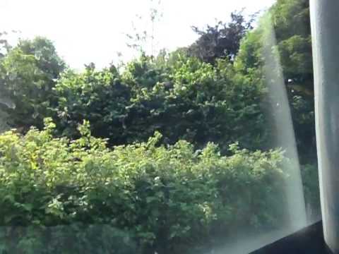 Awesome Kick-down Voith! - MAN 14.220 2827 MF52LYZ Part 1