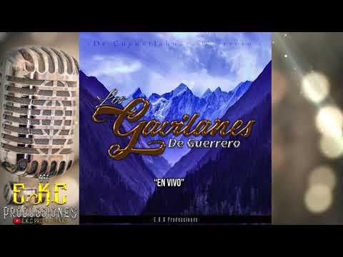 En Vivo-Los Gavilanes De Guerrero