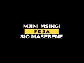 Rayvanny Ft S2kizzy Pochi Nene Official Lyric Video