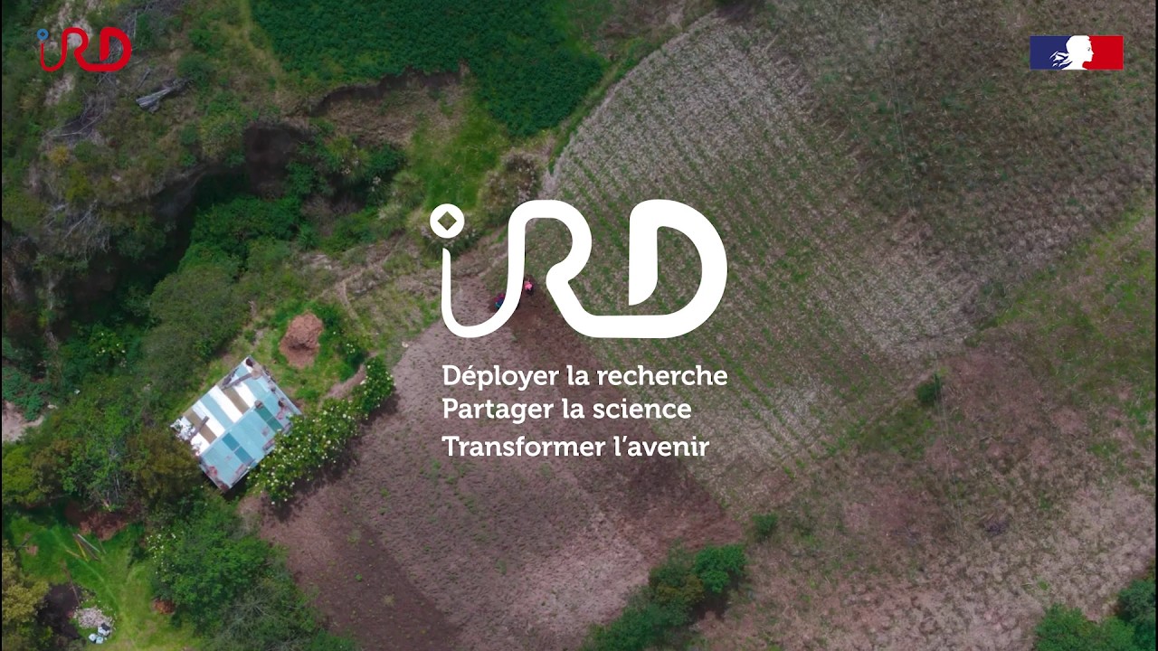 A la découverte de l'IRD
