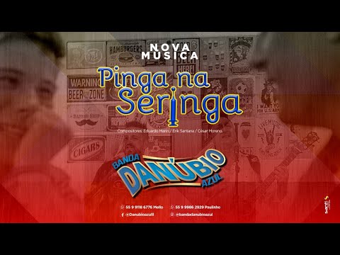 Pinga Na Seringa video