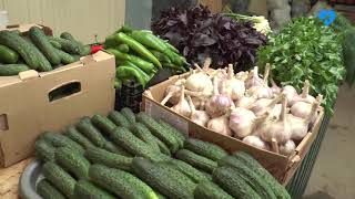 Дары ахтубинских полей (26.07.2019)