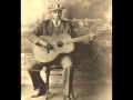 Blind Willie McTell-Delia - Traveler Into The Blue Blind Willie McTell-Delia