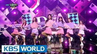 DIA (다이아) - Mr.Potter [Music Bank / 2016.10.14]