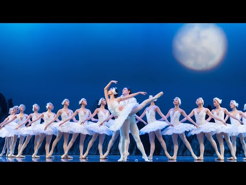 APDA 2023 Spring Dance Festival - Swan Lake Act2
