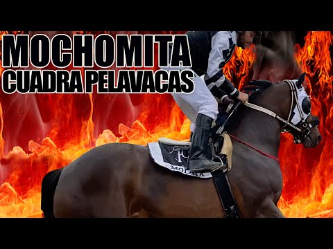 LA MOCHOMITA VS EL PRIETO 3 CORONAS