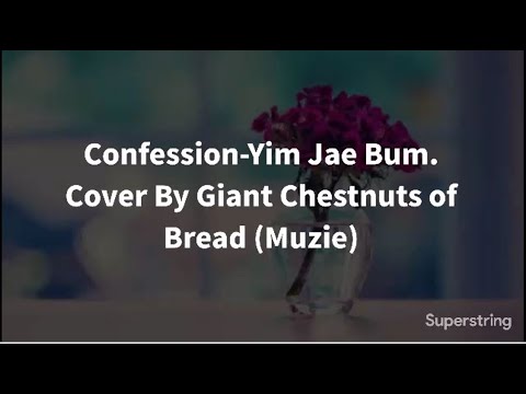 Confession-Cover By Giant Chestnuts of Bread (Muzie) Lyric Video [King Of Masked Singer]