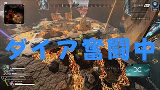 [APEX:ダイア]ダイア帯頑張りたい[SAYER SUN]