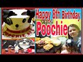 Poochie S 8th Birthday March 8 2021