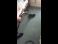MacDaddy Steam Cleaning Carpet